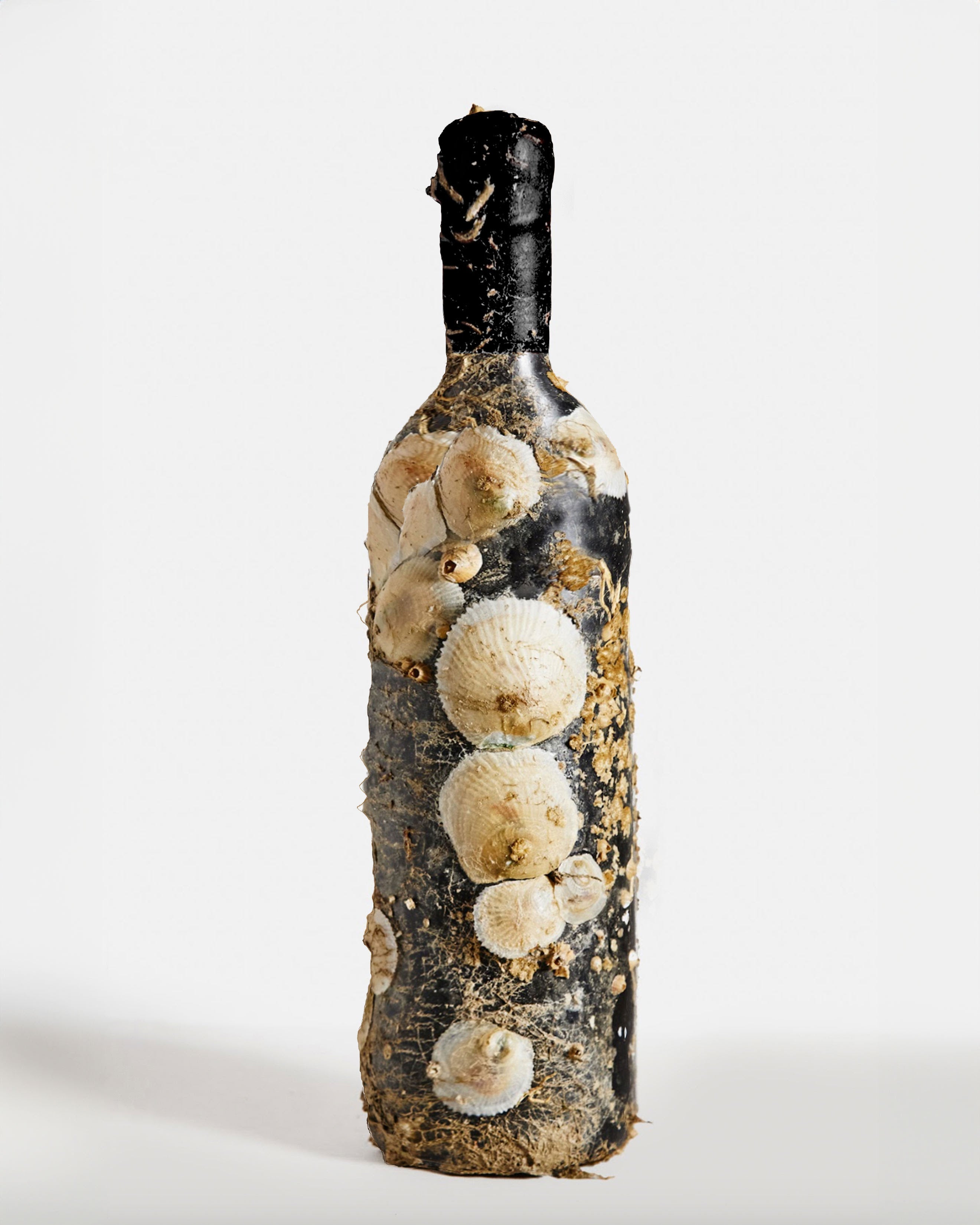 2024 Oak Knoll District, Napa Valley Cabernet Sauvignon