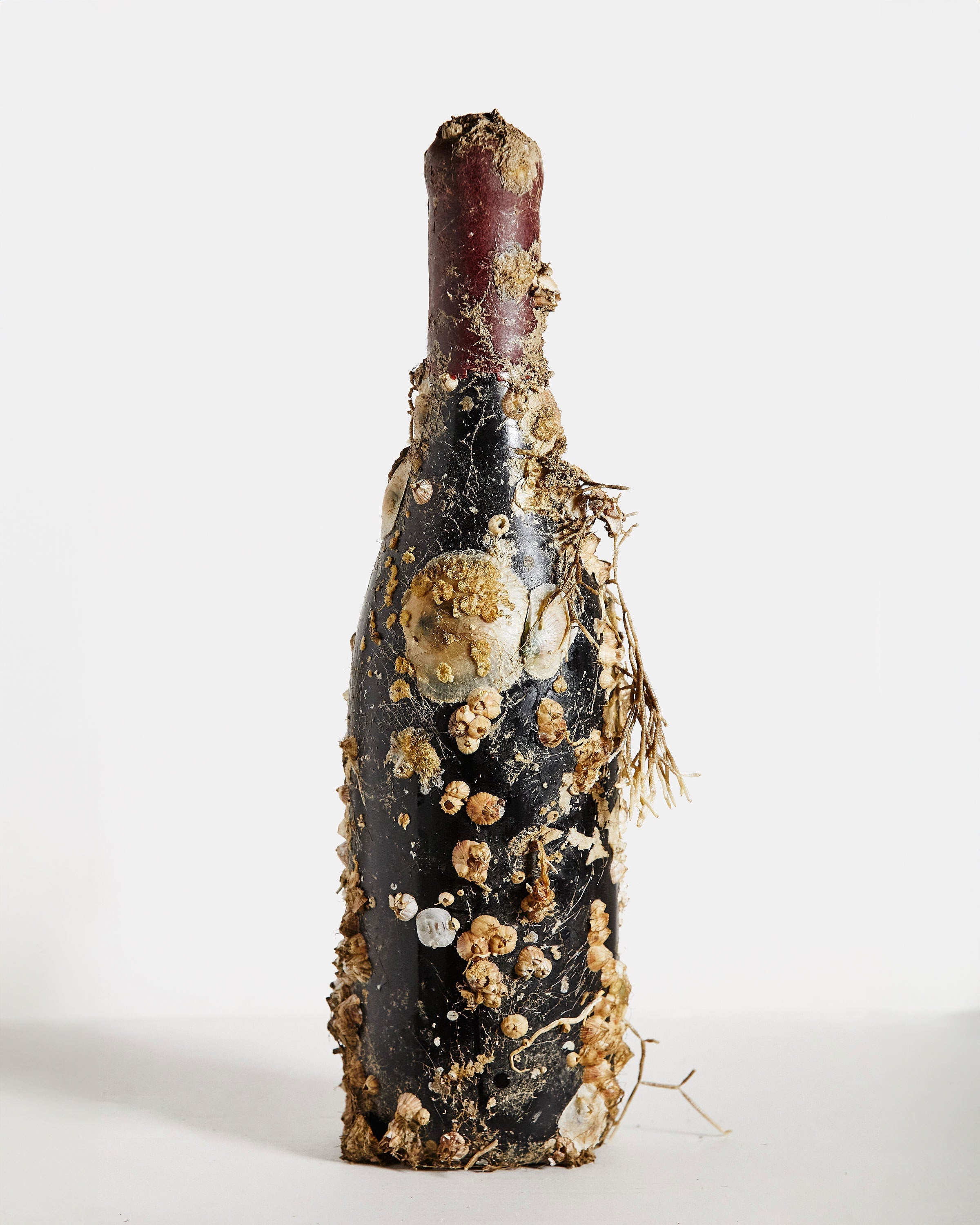 2023 Worden Hill Vineyard, Dundee Hills, Willamette Valley Pinot Noir