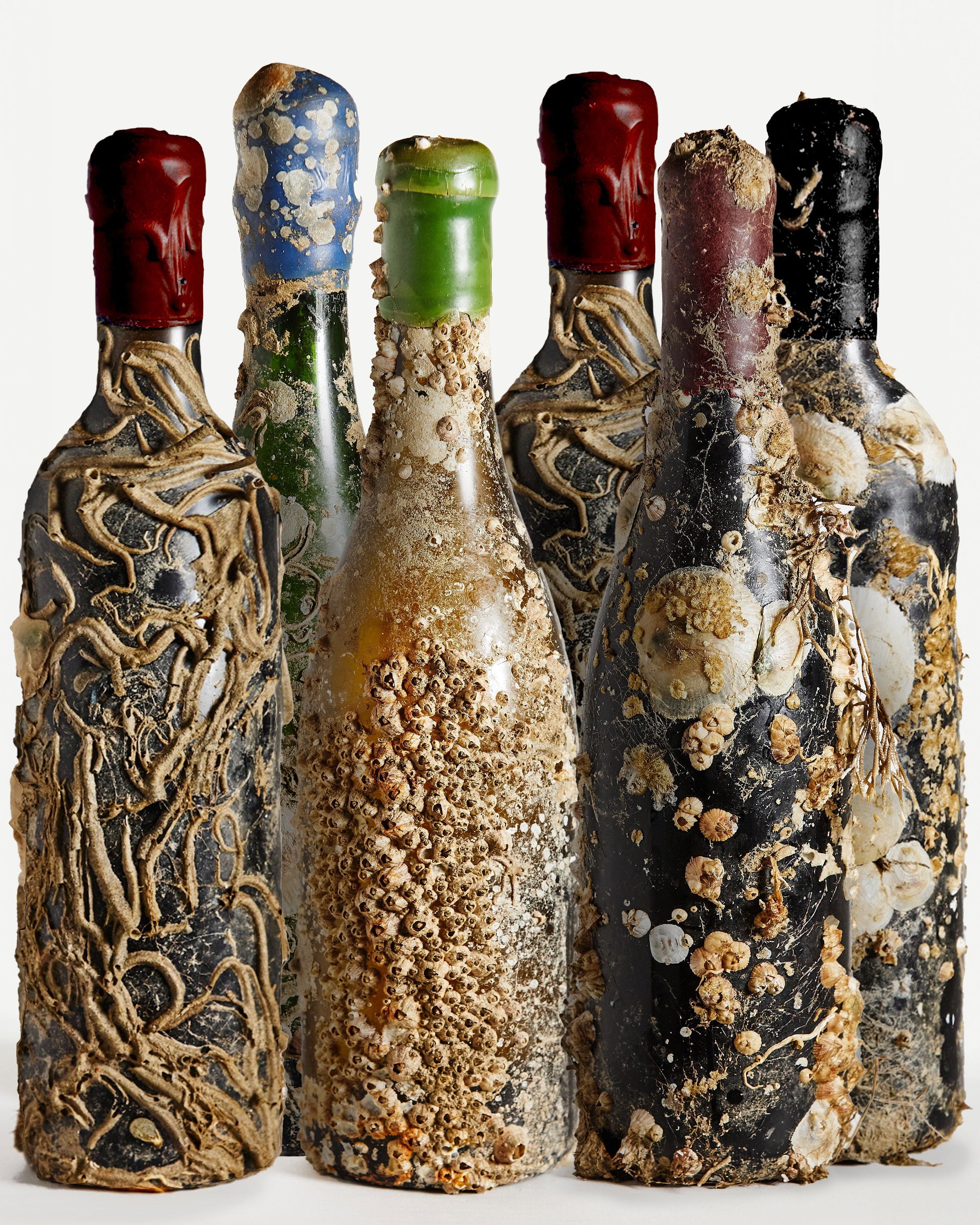 The Collector's Club