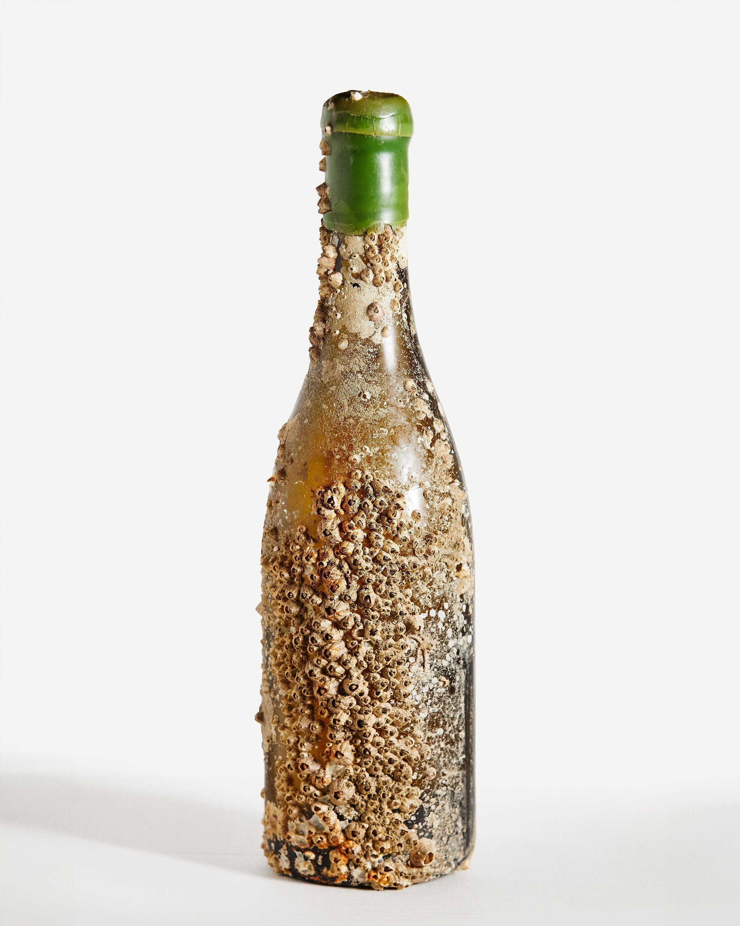 2021 Willamette Valley Chardonnay